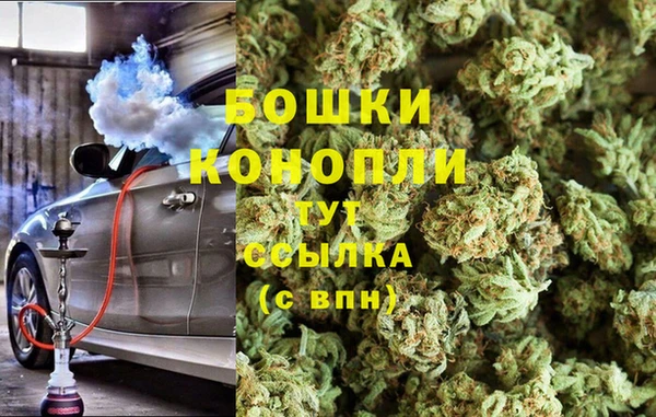 сатива Осинники