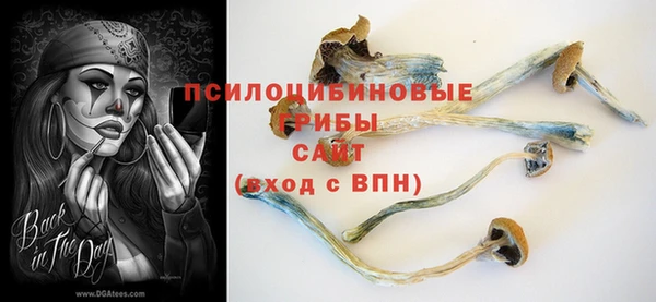 гидра Остров