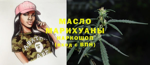стаф Пересвет