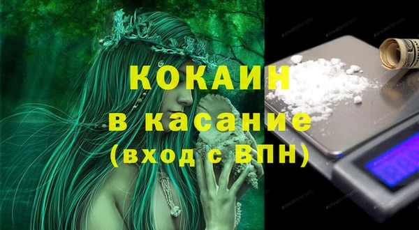 стаф Пересвет