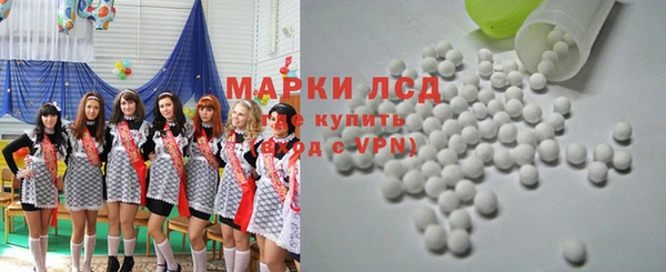 сатива Осинники