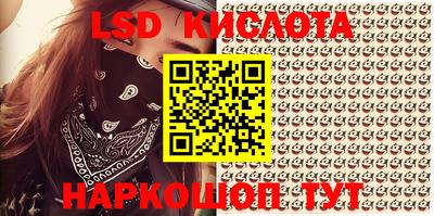 СК Балашиха