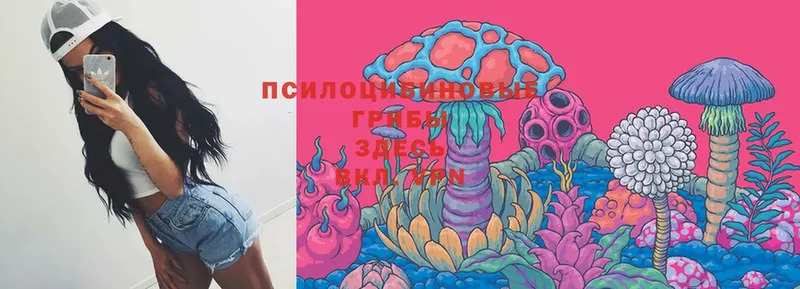 Псилоцибиновые грибы мухоморы  Липецк 