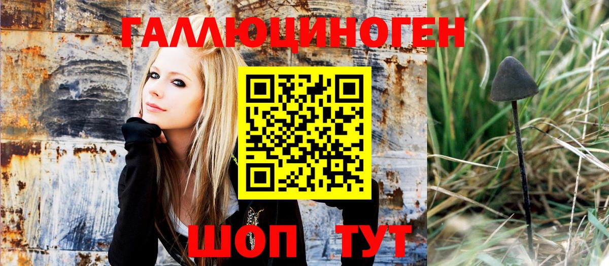 наркошоп  Псилоцибиновые грибы Psilocybe  Липецк  Псилоцибиновые грибы Psilocybe 