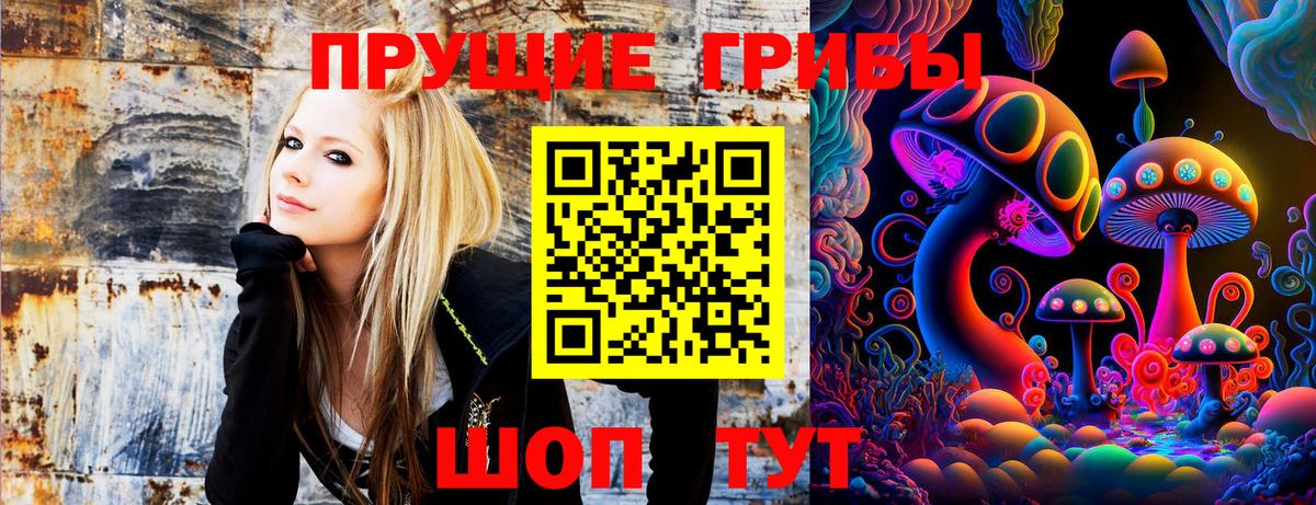 Псилоцибиновые грибы GOLDEN TEACHER Липецк