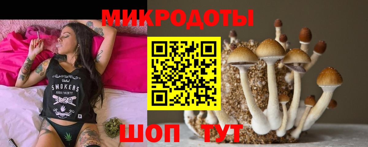 Галлюциногенные грибы GOLDEN TEACHER Липецк