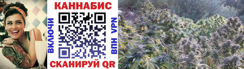 площадка Telegram  Липецк  МАРИХУАНА ГИДРОПОН 